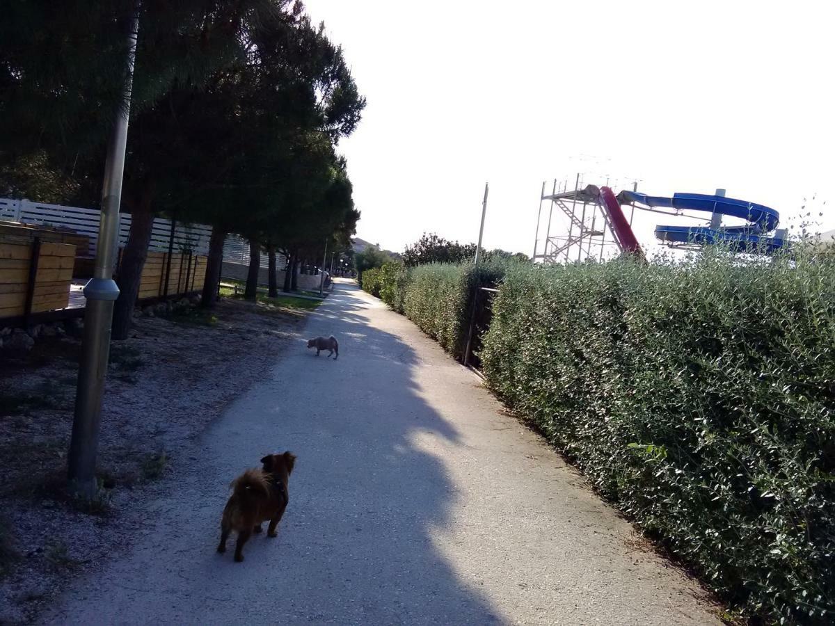 Apartmani Vesna Supetar Εξωτερικό φωτογραφία